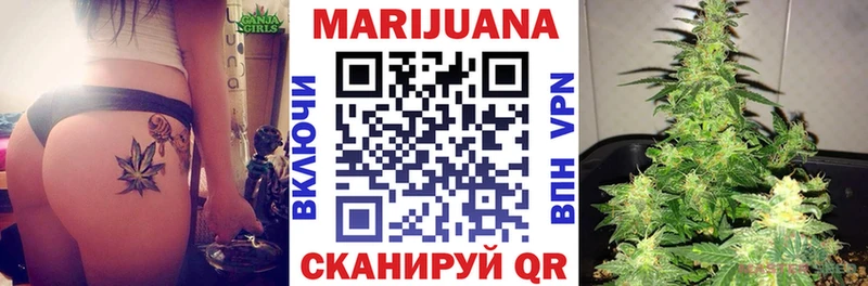 МЕГА tor  купить  сайты  Волхов  Каннабис SATIVA & INDICA 